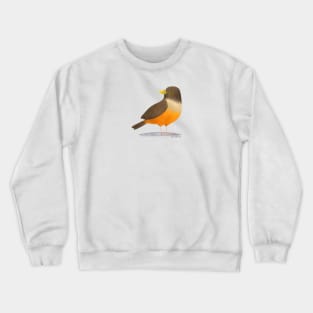 Rufous Bellied Thrush bird Crewneck Sweatshirt